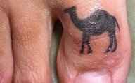 NWR- Funny pictures!
