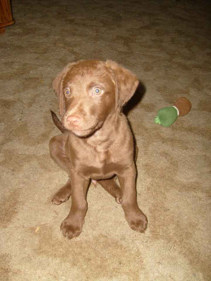 NWR- show me your pet!