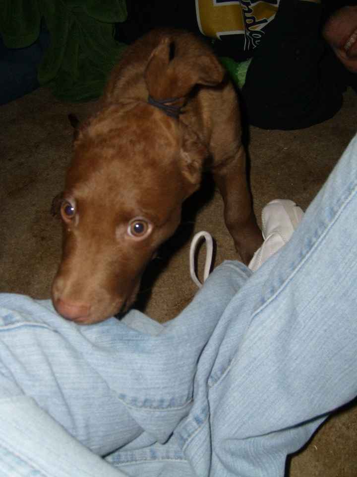 NWR- show me your pet!