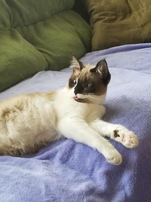 Nwr- show me your fur babies