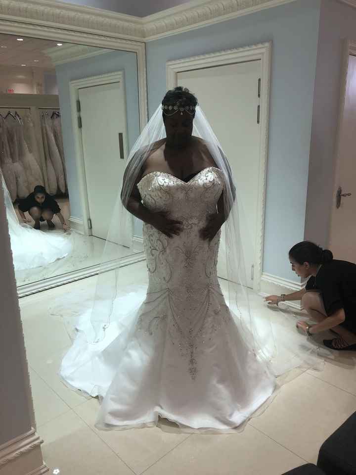 Wedding Dress Issues - 1