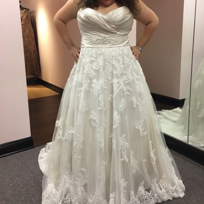 Plus Size Wedding