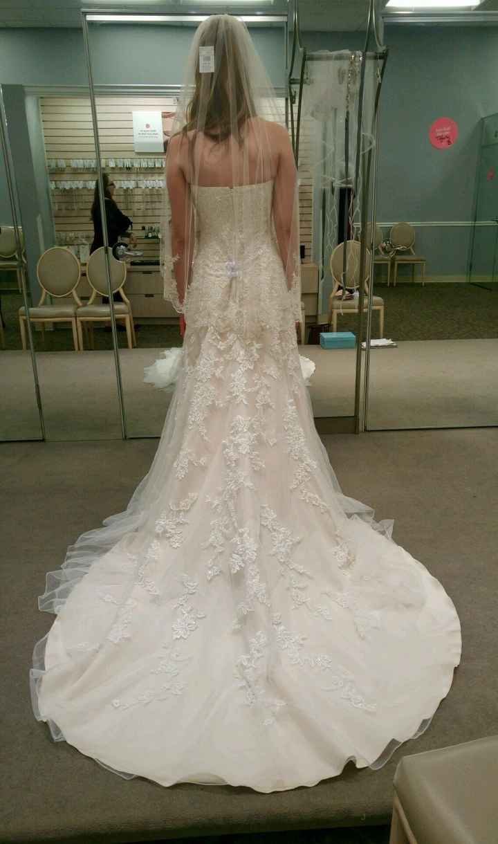 Help! Dress woes - 2