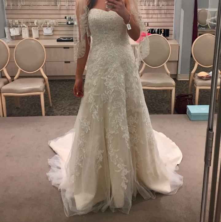 Steaming of dress - 1