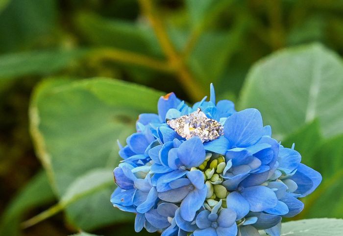 Brides of 2022! Show us your ring! 5