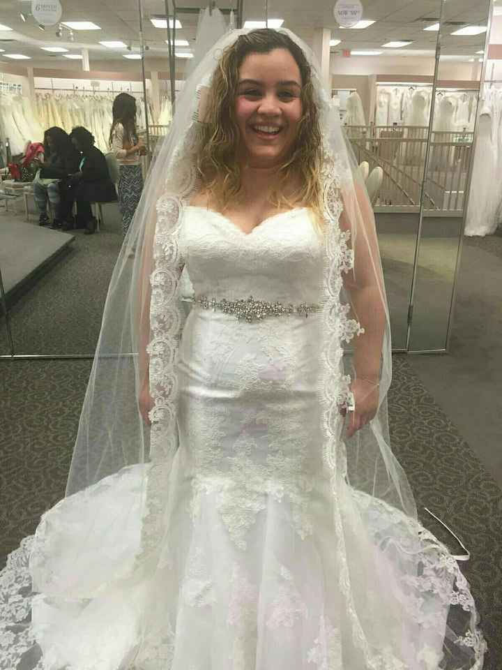 LET'S  SEE THE DRESSES