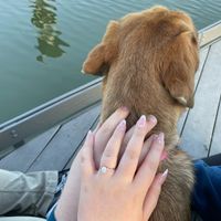 2025 Brides - Show us your ring! - 1