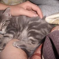 Furbabies!!! Lets show them off!