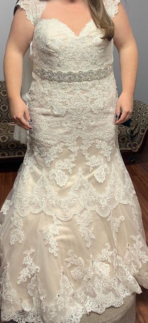 Belt or no belt? - 2