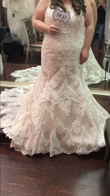 Plus size brides - 1