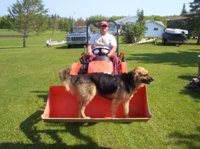 Show off your furbabies!