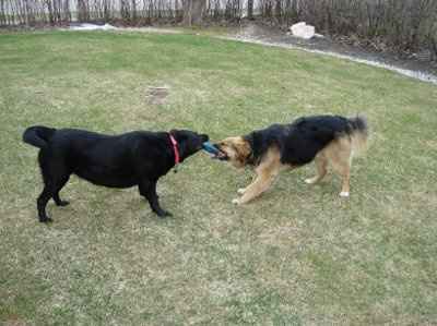 Let's get to know each other ladies!