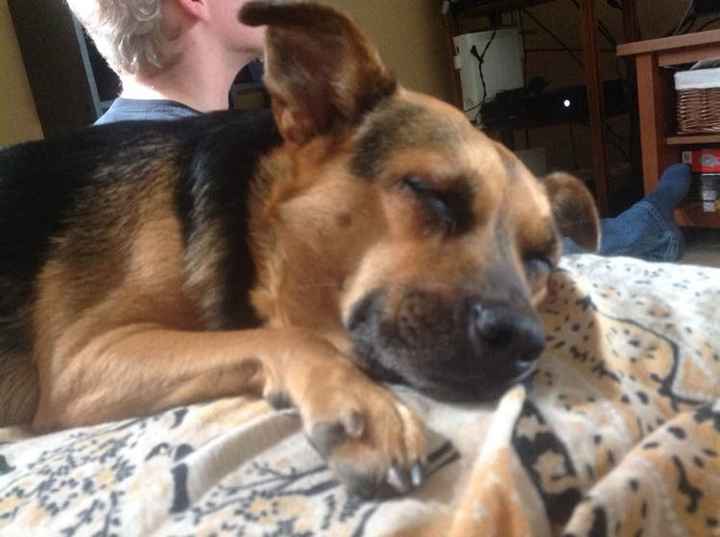 NWR: Adding New Member To Family (Furbaby)!!