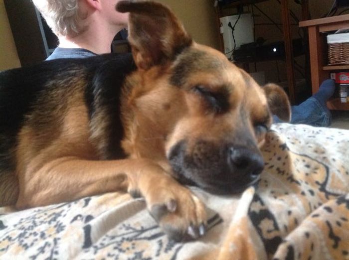 NWR: Adding New Member To Family (Furbaby)!!