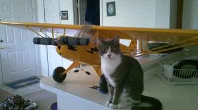 Furbabies!!! Lets show them off!