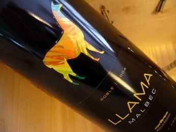 I Want Feedback........