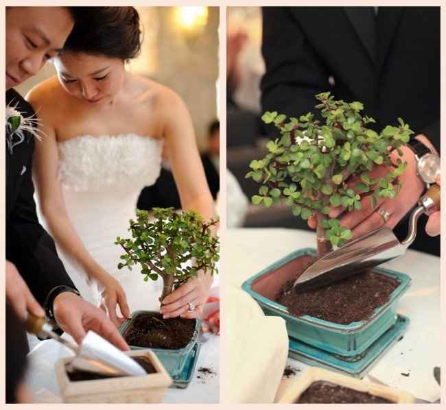 35 days to go! Planting ceremony. how are you doing this?