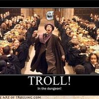 What is a troll?