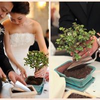 35 days to go! Planting ceremony. how are you doing this?