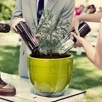 35 days to go! Planting ceremony. how are you doing this?