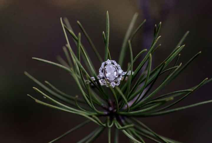 Brides of 2020!  Show us your ring! - 1