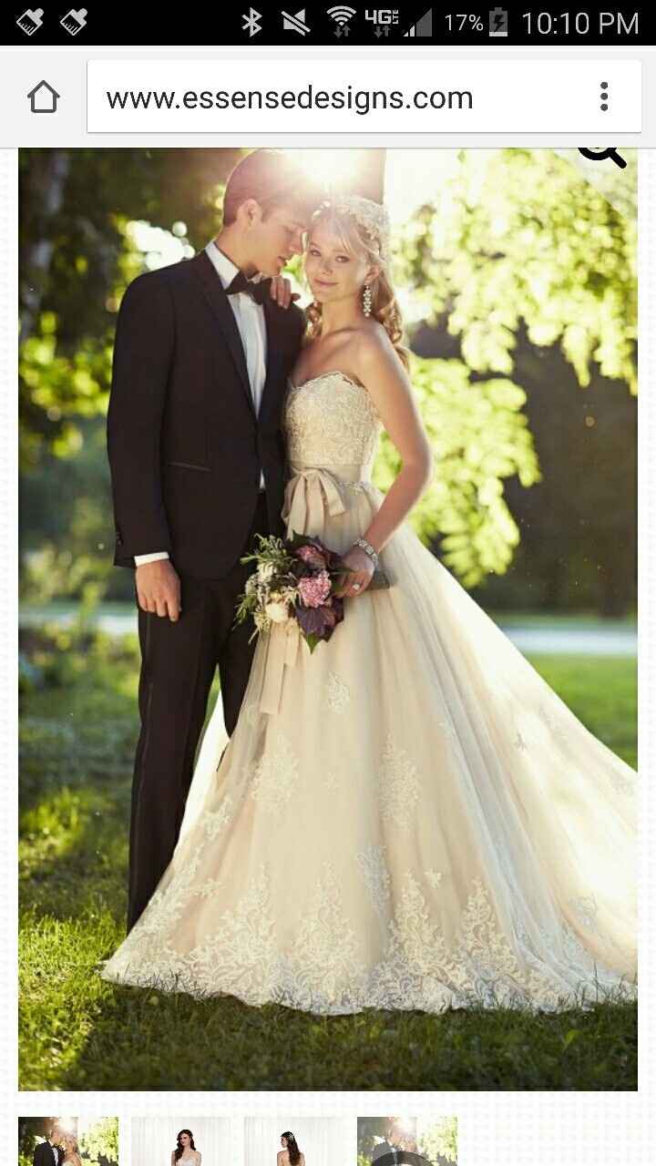 Any plus size brides think they rock their dress better than the model?