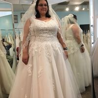 Veil or No Veil? - 1