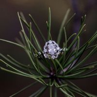 Brides of 2020!  Show us your ring! - 1