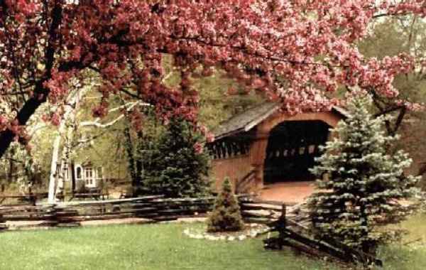Where are my outdoor ceremony brides?