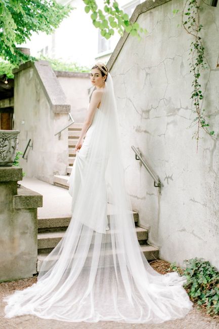 Veil or no veil? - 2