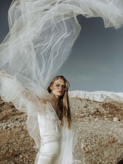 Veil or no veil? - 3