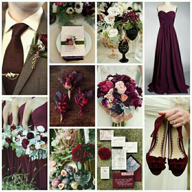 Colors of Life