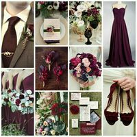 Colors of Life