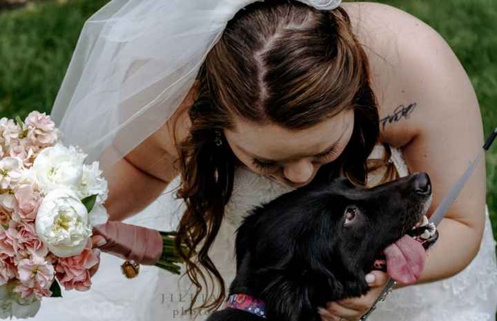 Creative ways to incorporate pets in the wedding? - 1