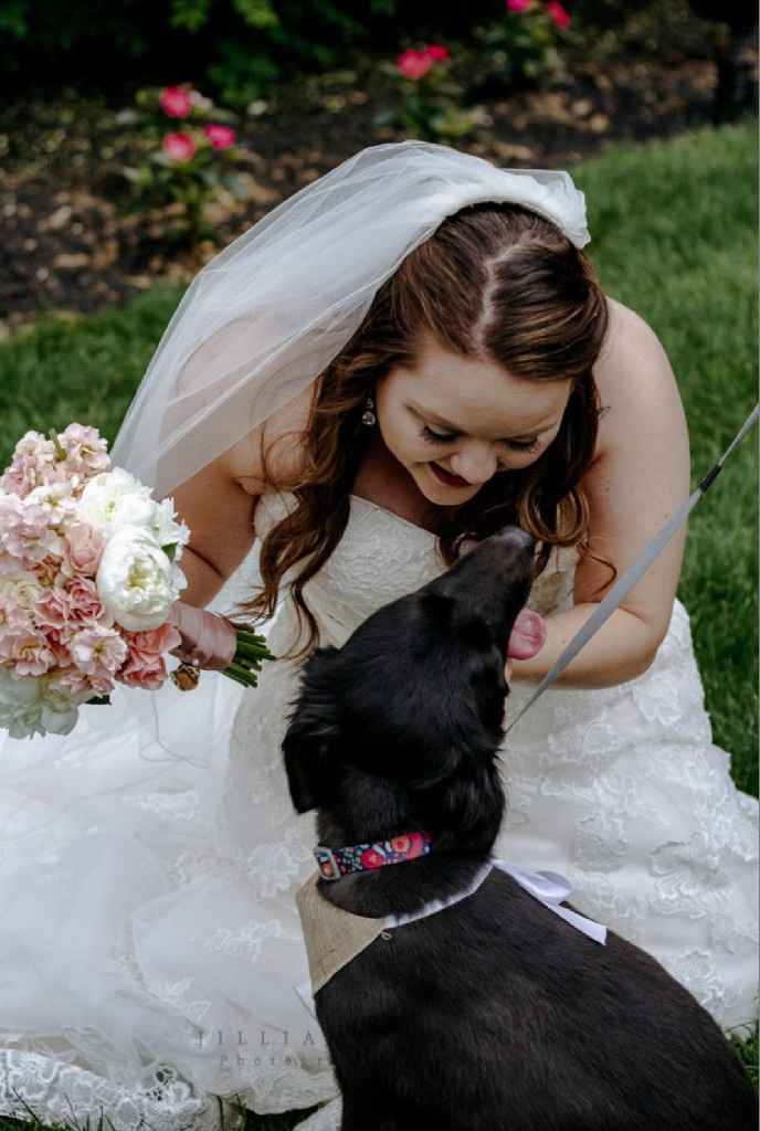 Creative ways to incorporate pets in the wedding? - 2