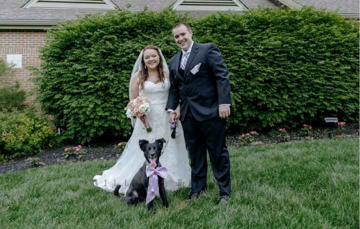 Creative ways to incorporate pets in the wedding? - 3