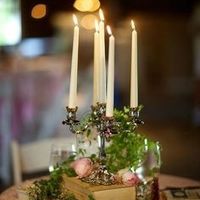 Candelabra centerpieces