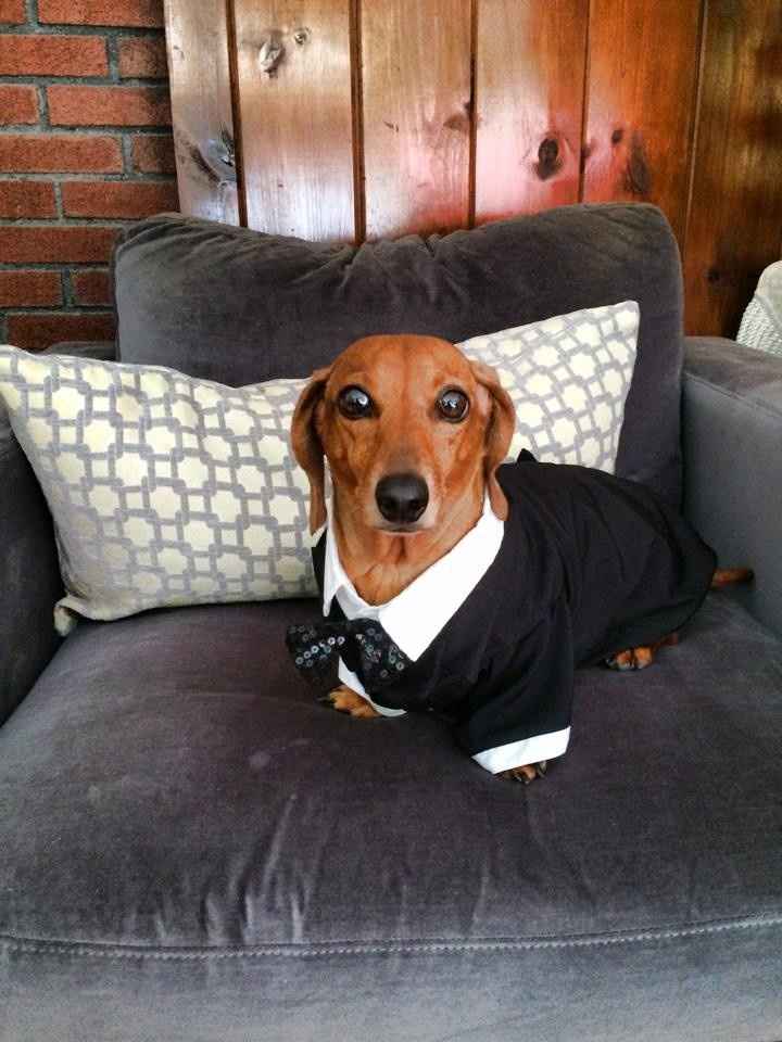 **Back and MARRIED!!!** more pics in comments