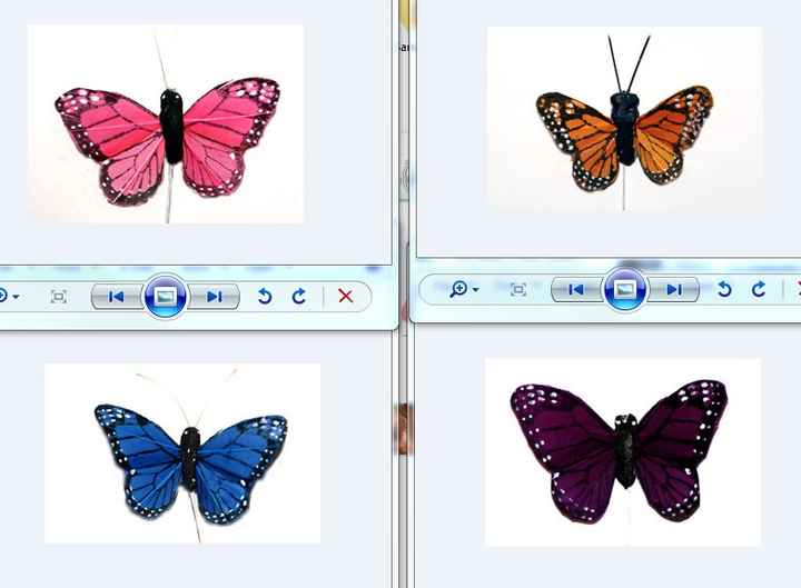 November 2016 Brides