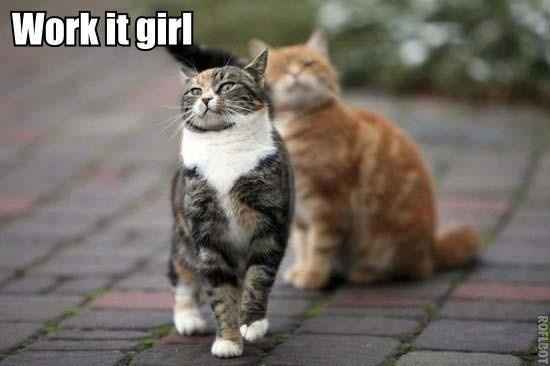 NWR my heart shattered with my teacup