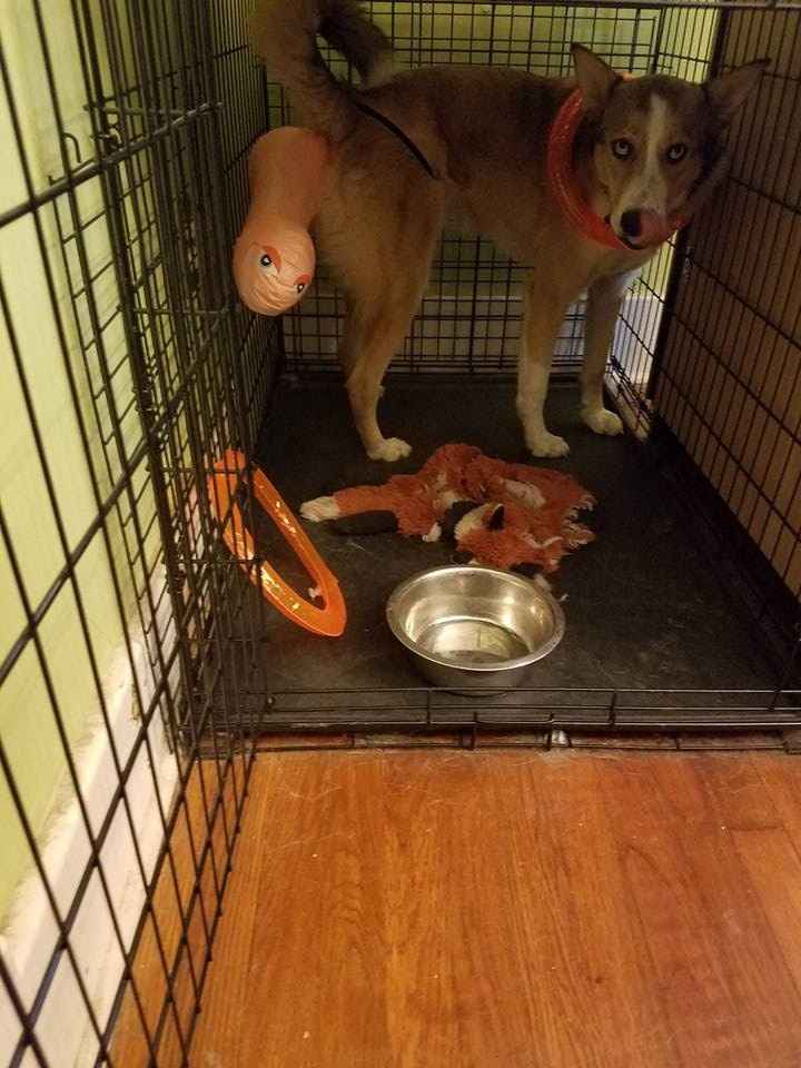 BAB!!!!!!!!!!!!! OMG My Bridesmaids are JERKS!