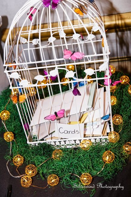 Butterfly BAM!!!!!!!!!!