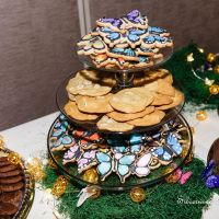 Butterfly BAM!!!!!!!!!!