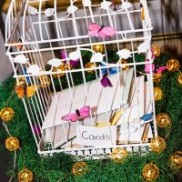 Butterfly BAM!!!!!!!!!!