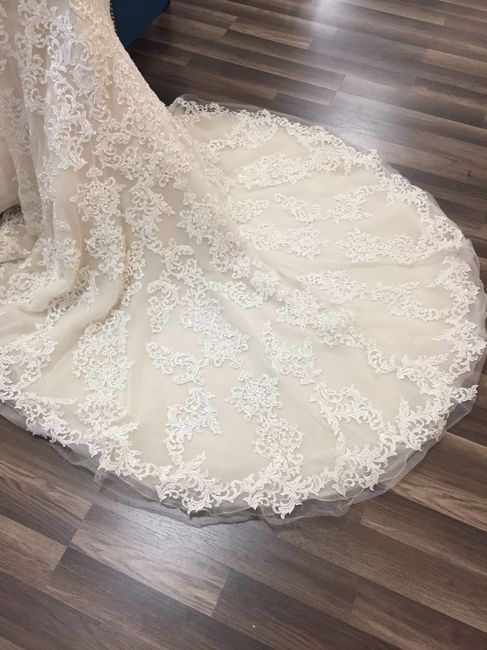 I said YES to the dress!!!