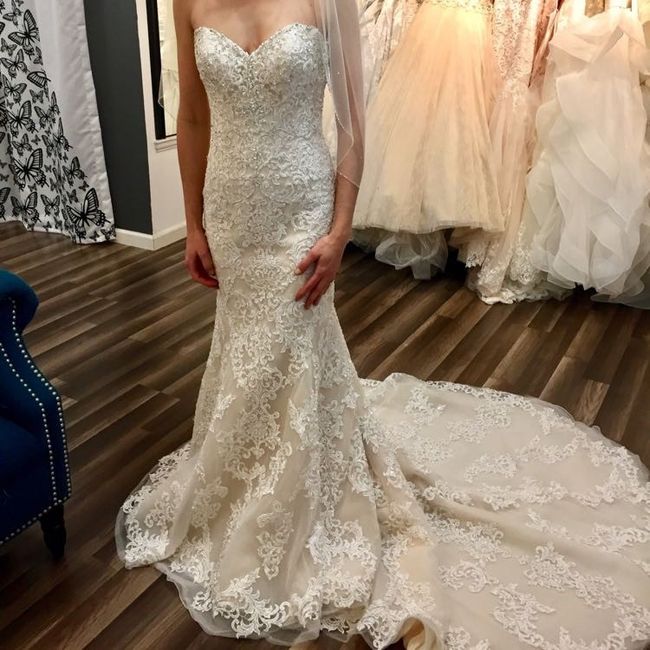 I said YES to the dress!!!