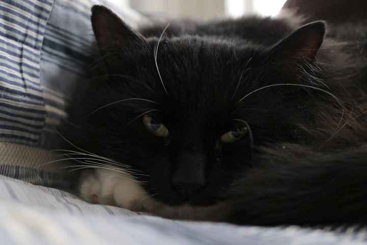 Something old, something new...