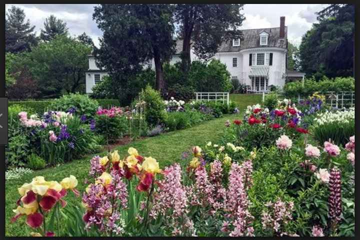 Help with dress & FH attire