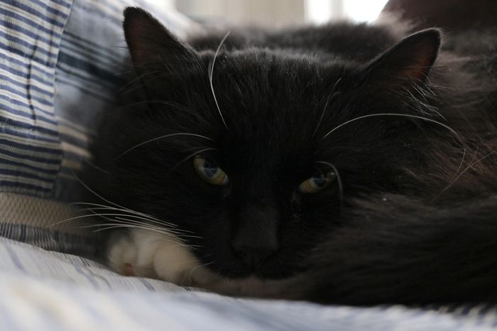 Something old, something new...