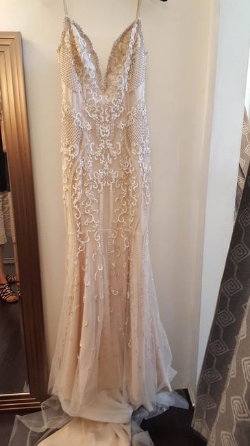 Colored/Tinted or Non'Traditional' Dress?